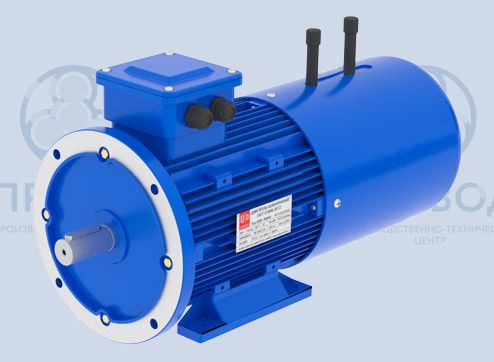 Электродвигатели с ДВУМЯ МАЛОШУМНЫМИ встроенными электромагнитными тормозами купить в Москве от производителя ООО ПТЦ «МАКСИМУМ»